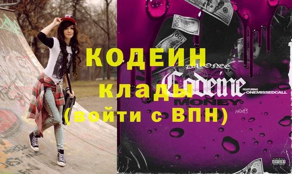 амф Дубна