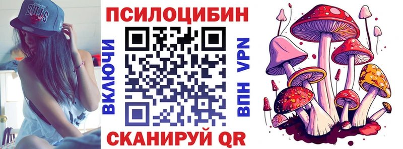 дарнет шоп  Тюкалинск  сайты даркнета клад  Псилоцибиновые грибы GOLDEN TEACHER 